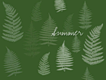 Summer Ferns Wallpaper